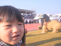 NAGOハーフマラソン