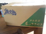 沖永良部からの・・・・・