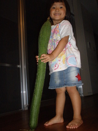 LONG　HETIMA