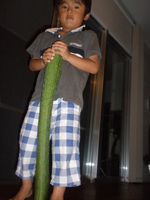 LONG　HETIMA