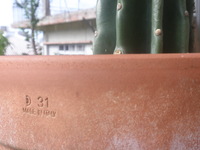 made in イタリー？？