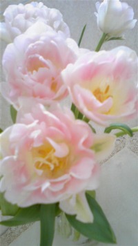 ＡＮＧＥＬＩＱＵＥ．です。 2012/03/24 14:21:43