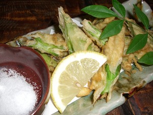ＡＲＩＧＡＴＯ