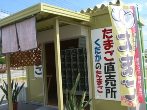 初めてみた～