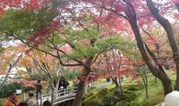 旅の目的は、こうして。