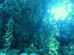 懸ける全てを。