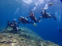 5月5日FUNDIVING♪ 2017/05/19 18:25:00