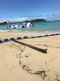 海からの贈り物 2017/05/25 20:37:38