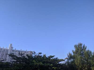雲一つない今朝の沖縄の空