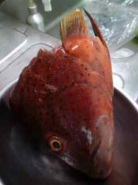 うめ〜