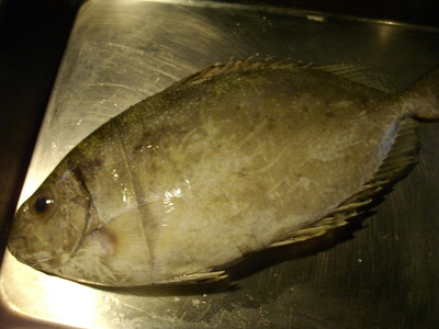 今日の料理２７１ 石垣島直送鮮魚のマース煮 旬菜処びいどろ日記 公式ページ