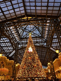 クリスマスは〜 2023/11/25 10:06:57