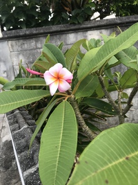 夏休み始まりました！ 2022/07/23 10:48:41