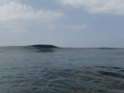 沖縄サーフィンガイド