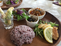 ランチ