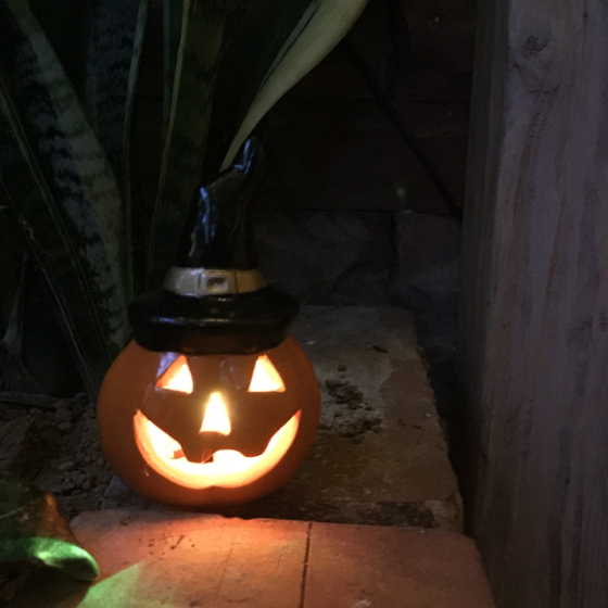 ハロウィングッズが大量に販売されいるダイソーでハロウィングッズを購入してみた アポロの生活21