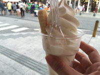 熱中症対策にいいかも！塩味のアイスクリーム「雪塩のアイス」そしてお塩のトッピングが無料