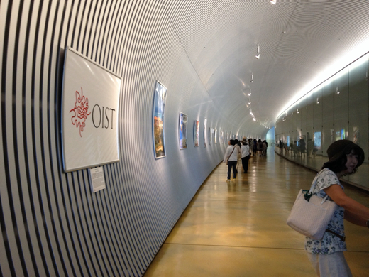 世界最高水準の科学技術研究が沖縄で行われてる「沖縄科学技術大学院大学」略して【OIST】へ見学に！