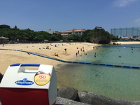 晴れた日曜日は近くのビーチへいこう！