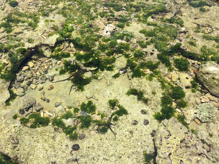 北谷 砂辺の海岸