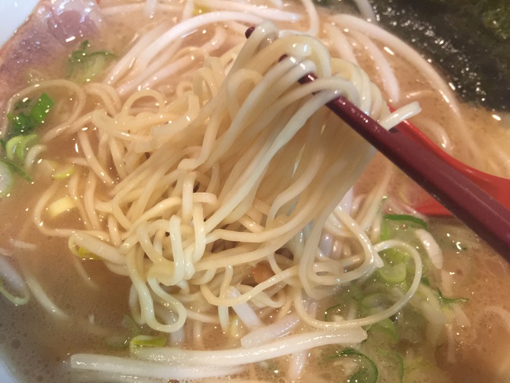 琉家 琉とんこつ 細麺