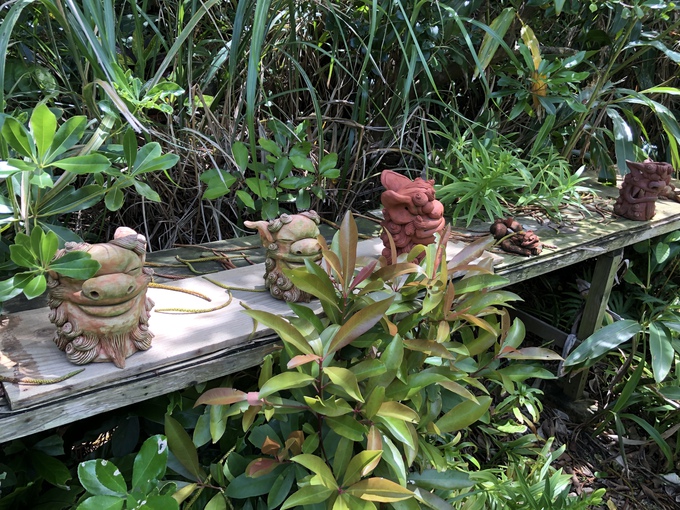 スタッフの家＆大下勝弘陶芸家の工房