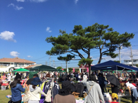 本日お休み＆ふれあいフリマ