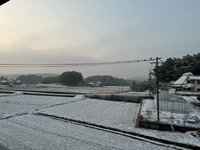 今朝も雪景色