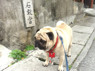 気ままにロハススタイル 再 セコムしてますか ちゅららのブログ