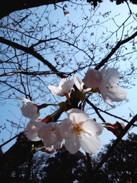 暖かいですっ 2014/03/28 15:05:44
