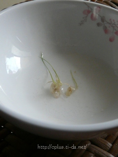玄米発芽
