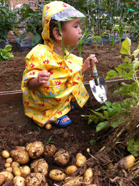 収穫祭 2011/06/30 13:44:49
