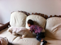 息子と犬 2011/05/18 02:53:39