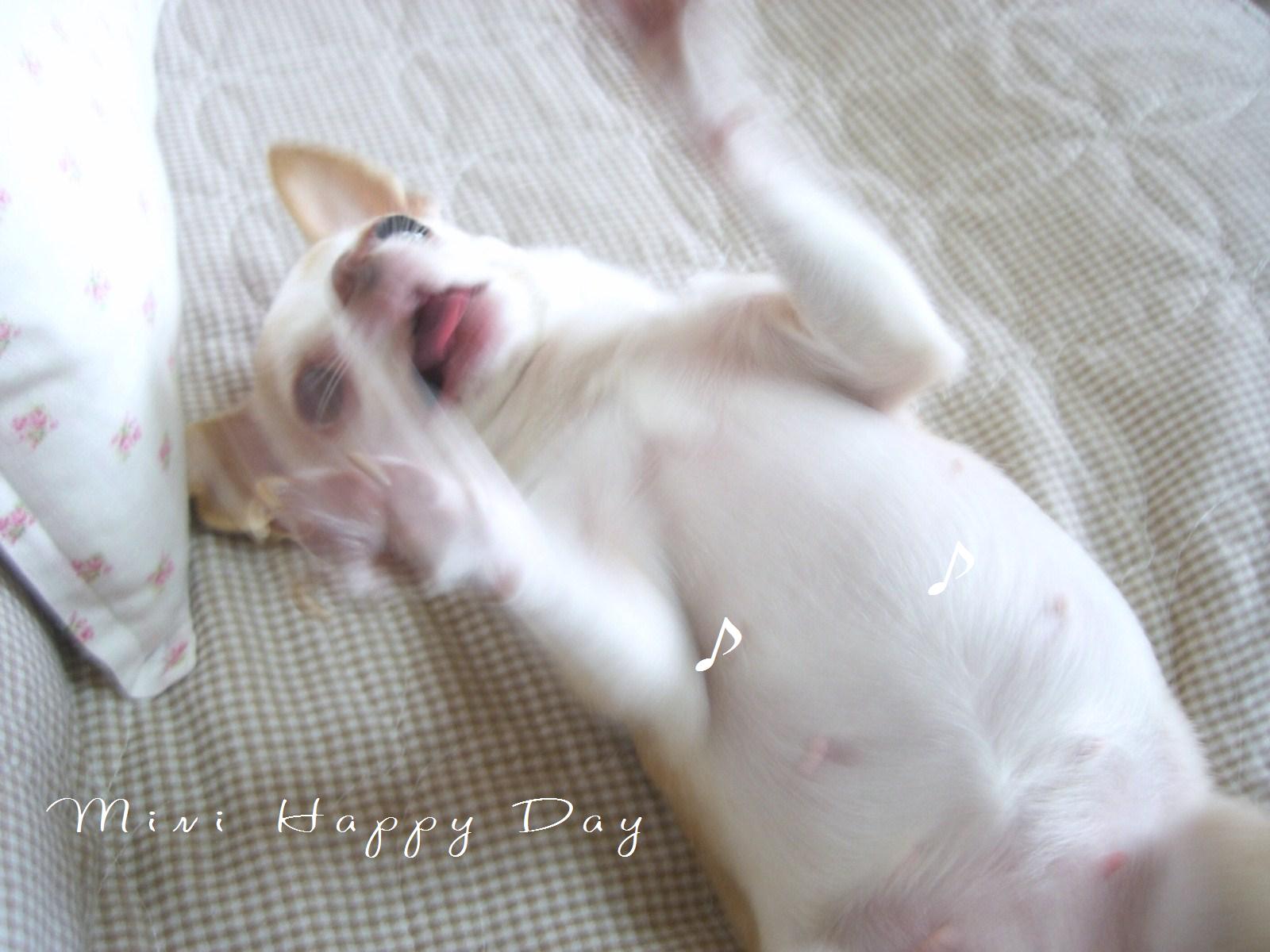 すっかり元気に♪ミニーちゃん