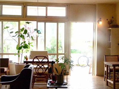 zou cafe 撮影