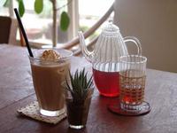 zou cafe 撮影