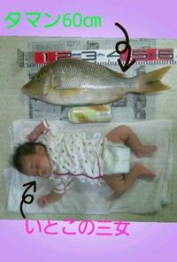 タマン釣っちょ～ん
