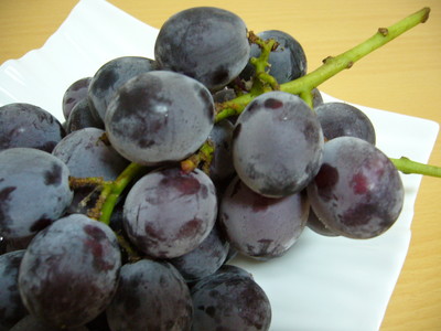 Thank you♪