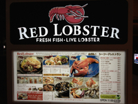 サイオンスクエアにある「RED LOBSTER」の食事と空間に癒されて