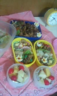 §お弁当§ 2008/11/12 19:23:47