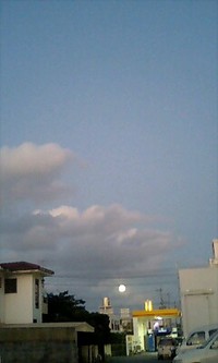 満月のせい！？ 2008/11/13 19:48:00