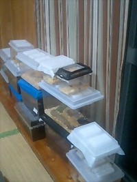 どんだけぇ～ﾊﾟｰﾄ2 2008/12/10 19:20:24