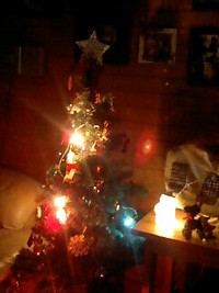 ★ｸﾘｽﾏｽﾂﾘｰ 2008/12/18 23:16:27