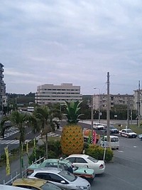 §ﾊﾟｲﾅｯﾌﾟﾙﾊｳｽ§ 2008/12/29 21:43:48