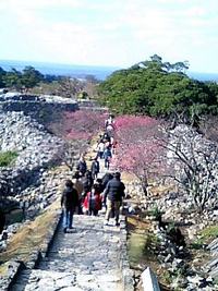 今帰仁城跡 2009/01/25 21:09:53