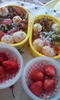 お弁当♪ 2009/03/05 09:10:59