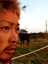 2010年11月08日