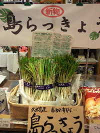 島らっきょう 2011/03/17 19:03:02