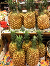 スナックパインはじめました。 2011/05/15 10:23:54