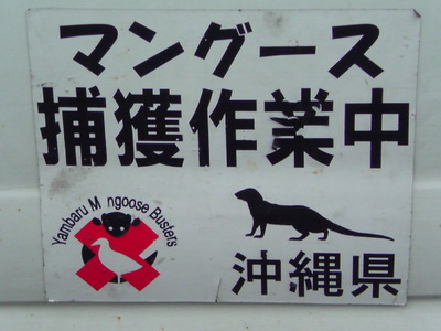 おおぉっ